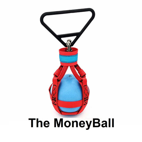 THE MONEYBALL - Weight by Dominator Athletics