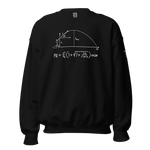 Throvacs Projectile Equation Unisex Sweatshirt