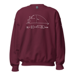 Throvacs Projectile Equation Unisex Sweatshirt