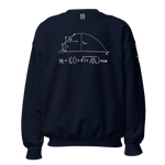 Throvacs Projectile Equation Unisex Sweatshirt
